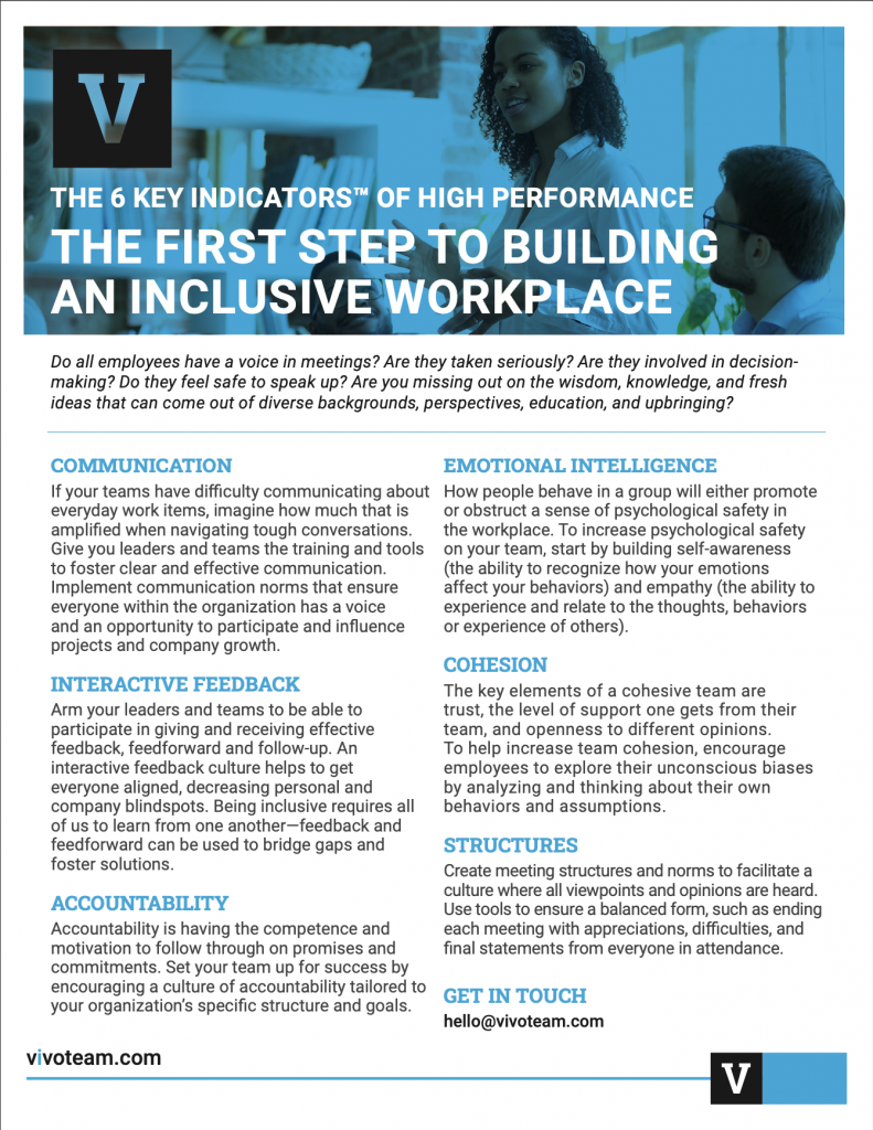 The First Steps to Building an Inclusive Workplace - Vivo Team Development